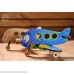 UGEARS 3D Wooden DIY Jigsaw Puzzle Build and Paint Assemble Toys Kits for Kids- Set of 5 Medium Models Airplane Kitten and Puppy Steamboat Sailboat and Locomotive B0785HMCPD